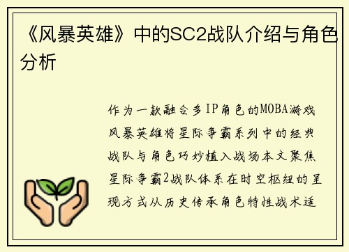 《风暴英雄》中的SC2战队介绍与角色分析